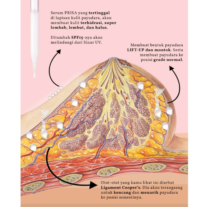 PRISA Bust Fit Secret Serum - Image 2